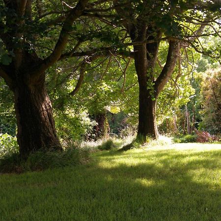 Purple Hen Country Lodge Katikati Extérieur photo