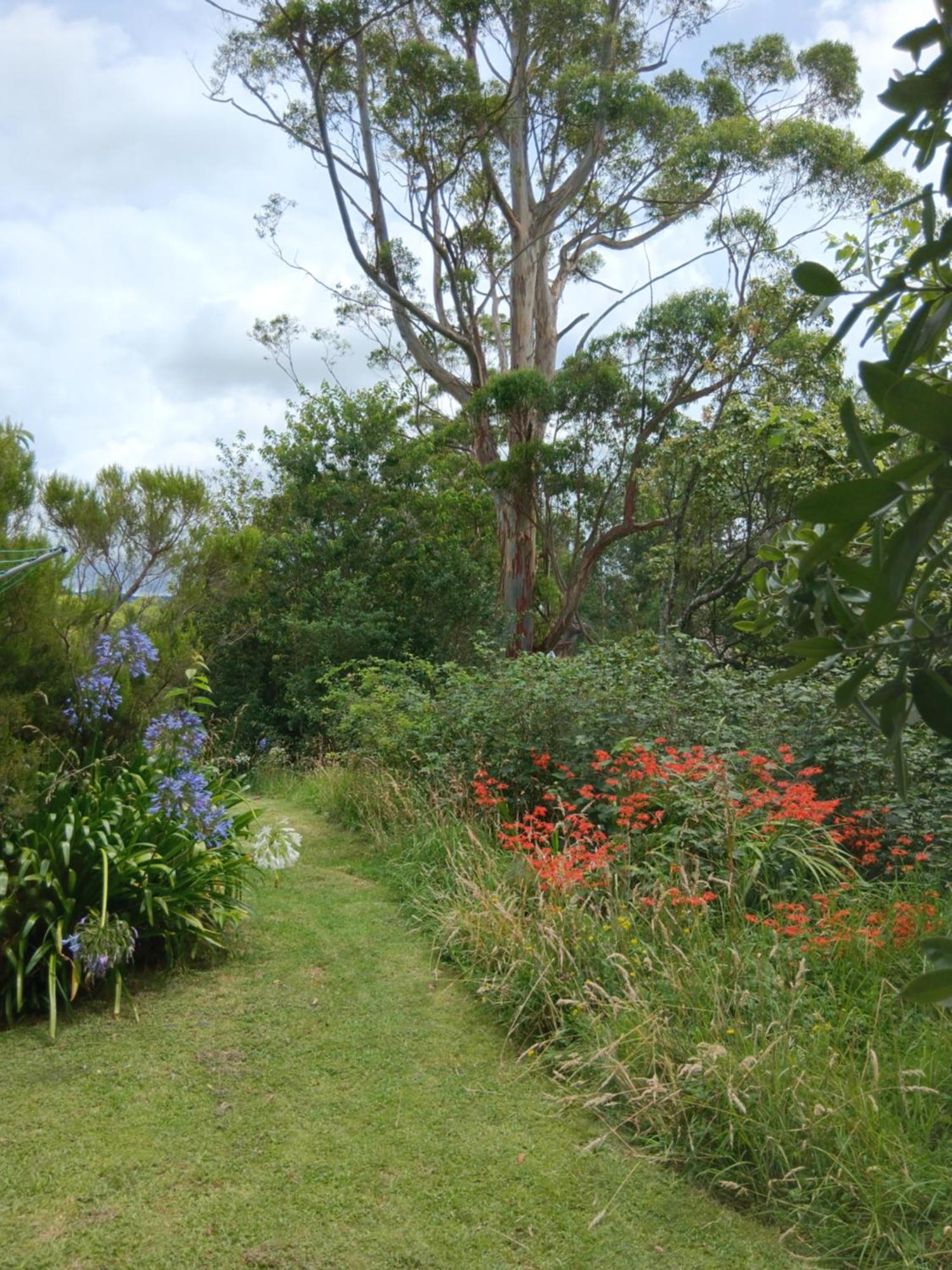 Purple Hen Country Lodge Katikati Extérieur photo