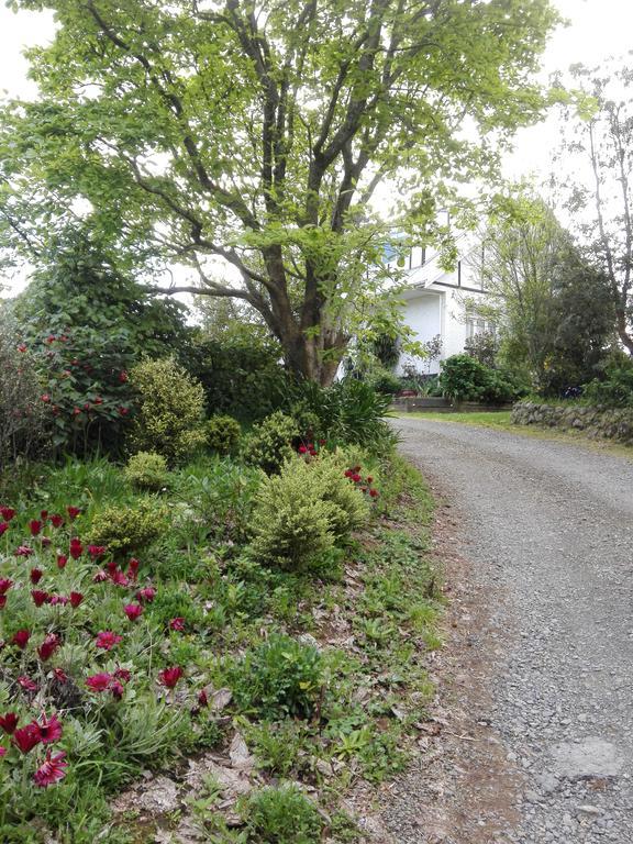 Purple Hen Country Lodge Katikati Extérieur photo