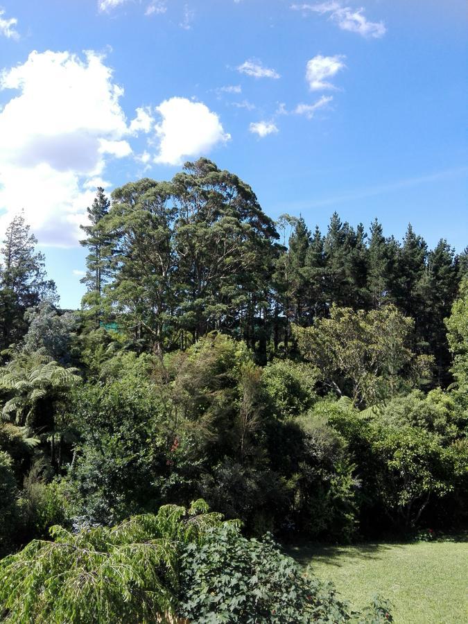 Purple Hen Country Lodge Katikati Extérieur photo